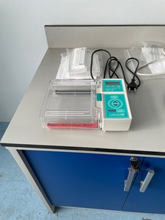 (Labnet) ENDURO Gel XL Electrophoresis System