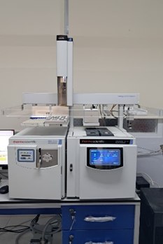 Gas Chromatography-Mass Spectrometry (GCMS)