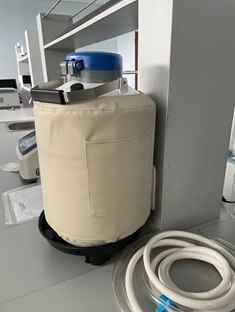 30L Cryogenic Container Liquid Nitrogen LN2 Tank Dewar with Straps 6…